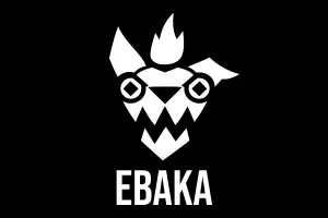 Ebaka Investor