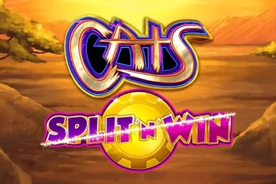 Cats Split 'n' Win