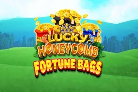 Lucky Honeycomb Fortune Bags