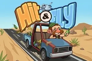 Hit & Fly
