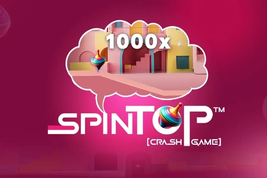 Spin Top