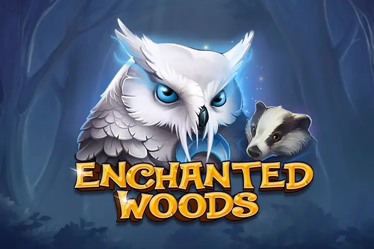 Enchanted Woods