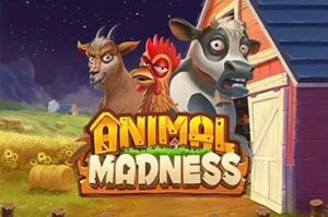 animal-madness free casino game