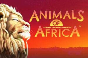 animals-of-africa free casino game