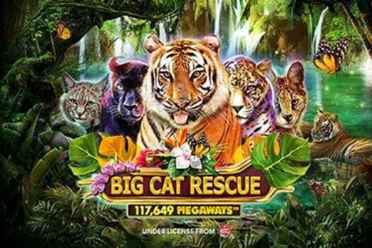 big-cat-rescue-megaways free casino game