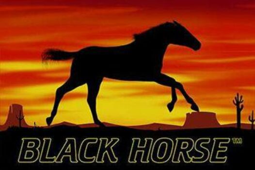 black-horse free casino game