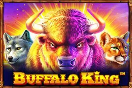 buffalo-king free casino game