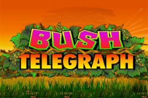 bush-telegraph free casino game