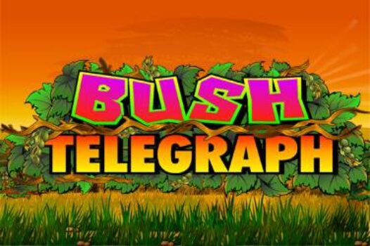 bush-telegraph free casino game