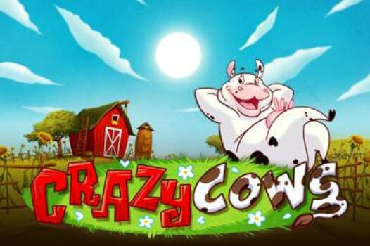 crazy-cows free casino game