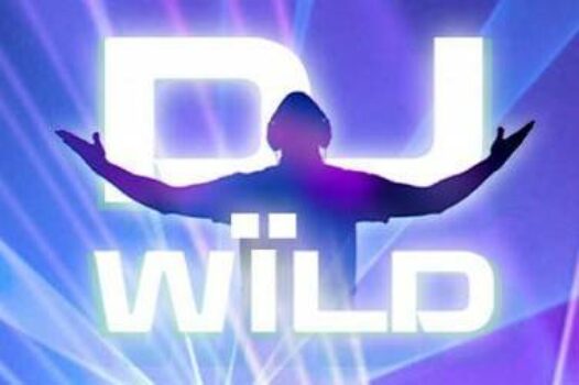 dj-wild free casino game