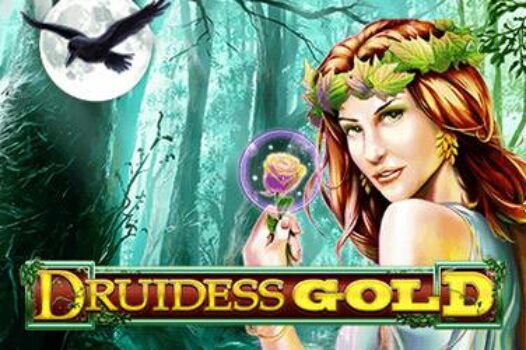 druidess-gold free casino game
