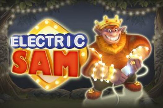 electric-sam free casino game