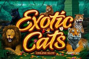 exotic-cats free casino game