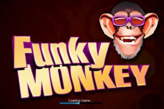 funky-monkey free casino game