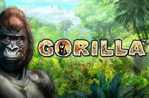 gorilla free casino game