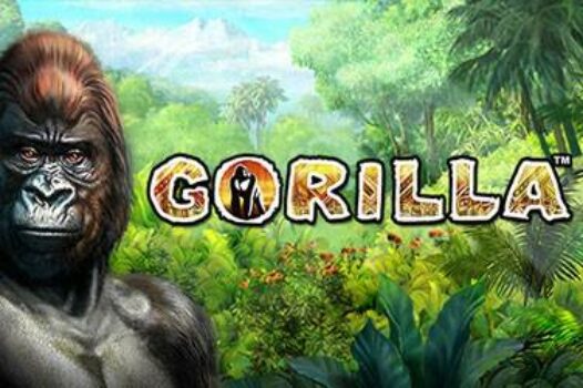 gorilla free casino game
