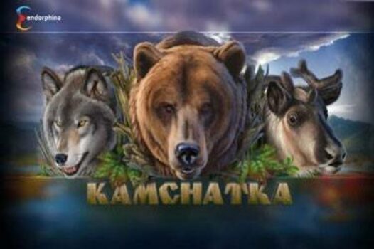 kamchatka free casino game