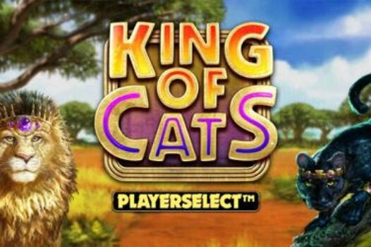 king-of-cats free casino game