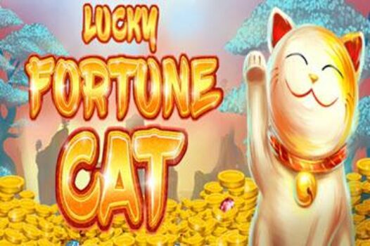 lucky-fortune-cat free casino game