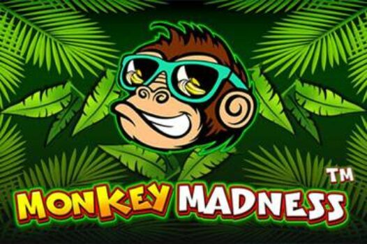 monkey-madness free casino game