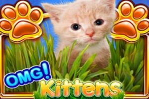 omg-kittens free casino game