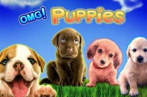 omg-puppies free casino game
