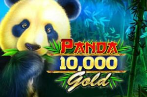 panda-gold-scratchcard free casino game