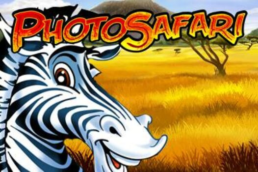 photo-safari free casino game