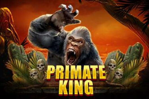 primate-king free casino game