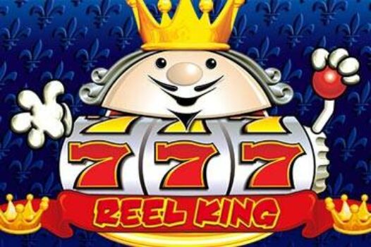 reel-king free casino game
