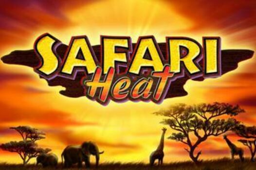 safari-heat free casino game