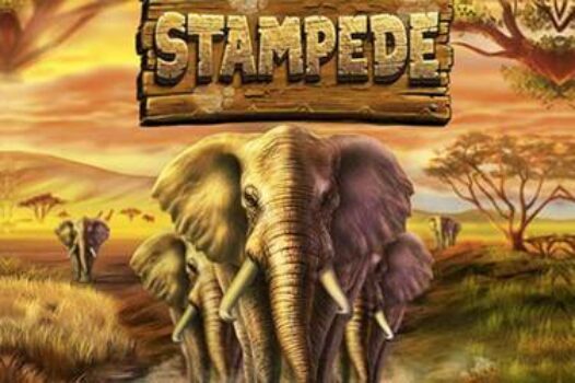stampede free casino game