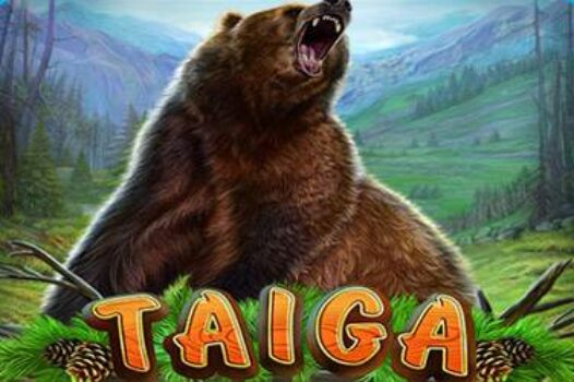 taiga free casino game