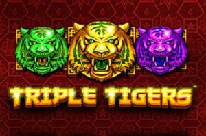 triple-tigers free casino game