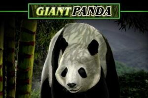 untamed-giant-panda free casino game