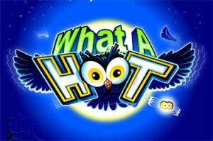 what-a-hoot free casino game