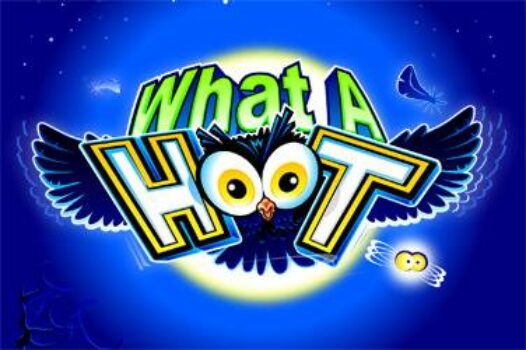 what-a-hoot free casino game