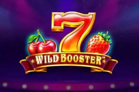 wild-booster free casino game