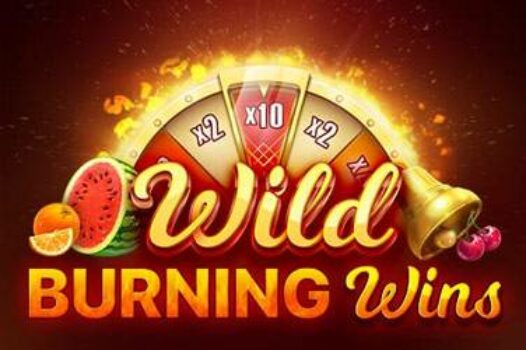 wild-burning-wins-5-lines free casino game