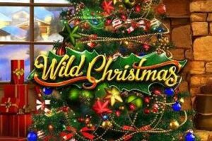 wild-christmas free casino game