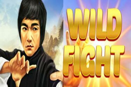 wild-fight free casino game