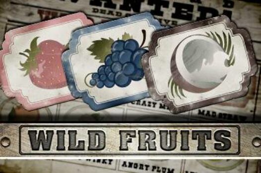 wild-fruits free casino game