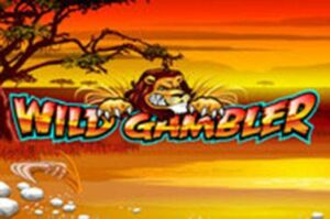 wild-gambler free casino game