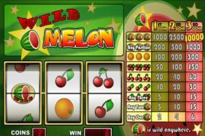 wild-melon free casino game