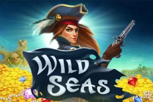 wild-seas free casino game