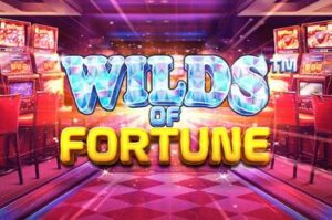 wilds-of-fortune free casino game