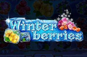winterberries free casino game