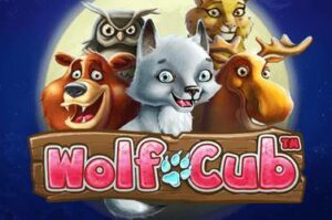 wolf-cub free casino game