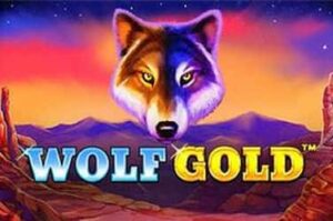 wolf-gold free casino game